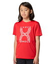公式 アンダーアーマー UNDER ARMOUR UA UAラン 96 テック グラフィック ショートスリーブ Tシャツ(トレーニング/BOYS) 6003566