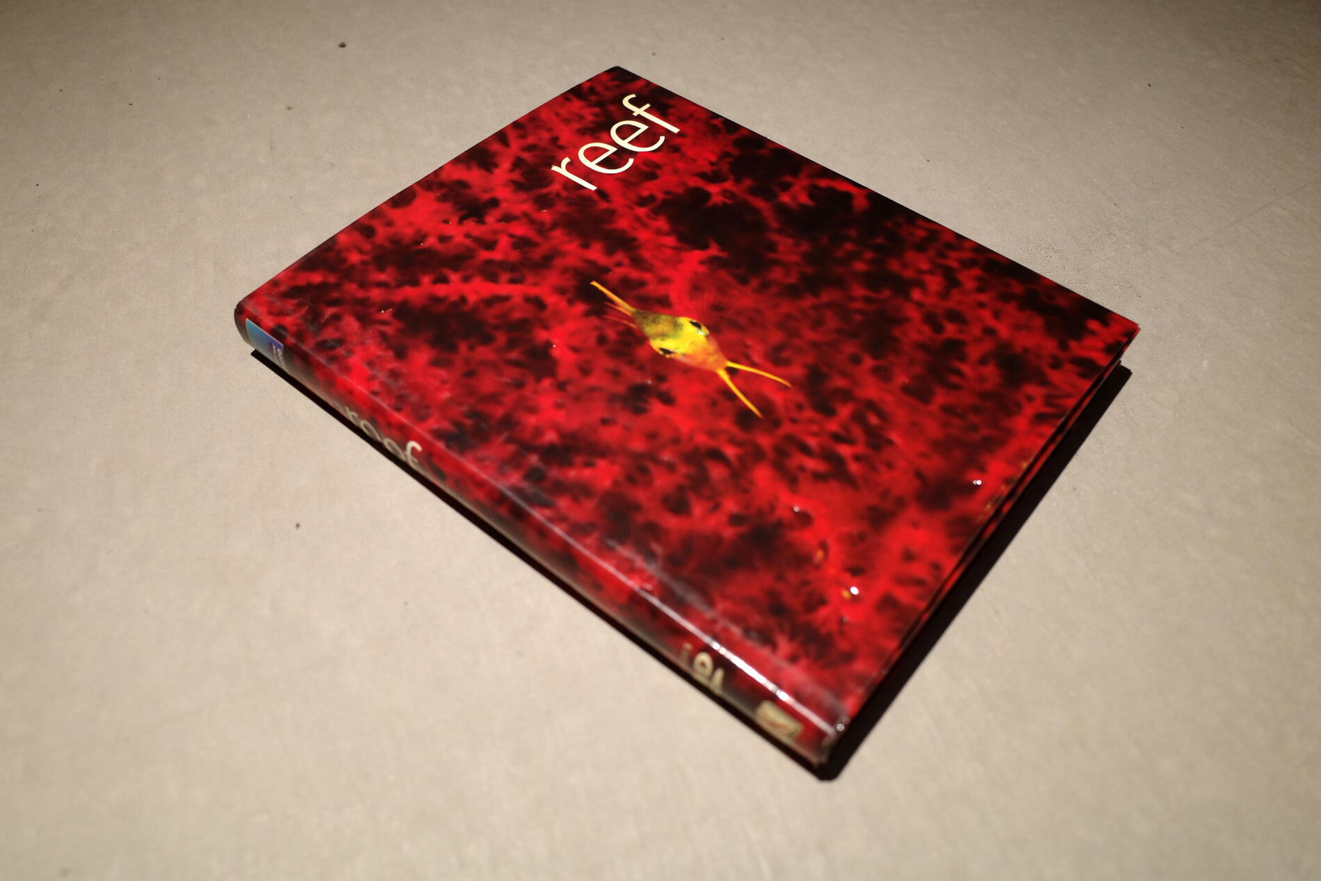 商品名 - Reef 出版社 - DK (Dorling Kindersley) タイプ - Hardcover/ハードカバー 言語: - 英語 ページ数 - 360ページ サイズ - 302×36×257 mm 状態 - 中古品 傷、汚れがございます。画像参考　※モデルルームより入荷品 刊行年 - 2007年 配送 - クロネコヤマト宅急便 80サイズ　例 関東 1230円　※書籍を複数購入の際はまとめて梱包し発送いたします。その際の送料は当店にて入力し直してからの請求となります。※直接持ち帰り可能 店頭にて販売中 【写真集・DVD付】Reef: Exploring the Underwater World / Scubazoo 著（洋書） 世界的に高く評価されている水中撮影チーム「Scubazoo（スクバズー）」による、サンゴ礁と海洋生物の圧倒的に美しい世界を収めた大型写真集『Reef』です。 藻類やサンゴから、色鮮やかな熱帯魚、大迫力のサメにいたるまで、生命の連鎖と神秘的な水中生態系がフルカラーのハイクオリティな写真で掲載されています。インテリアとしてお部屋に飾る「コーヒーテーブルブック」としても映える大変贅沢な一冊です。
