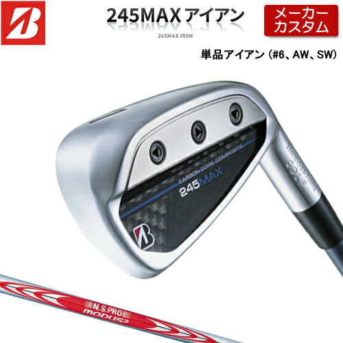 ڥ᡼ۥ֥¥ȥ 245MAX ñ  (#6AWSW)  N.S.PRO MODUS3 TOUR 120 ...