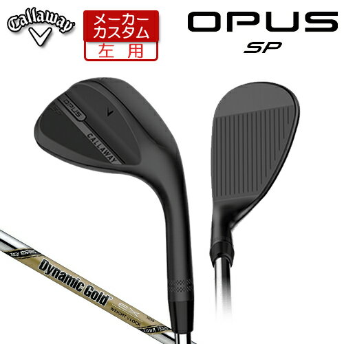 【メーカーカスタム】 (左用) キャ