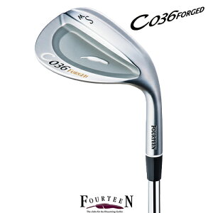 FOURTEEN【フォーティーン】C-036FORGEDウェッジTS-114wor950GHHTスチールシャフト