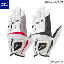 MIZUNO【ミズノ】W-GRIP ダブルグリップ 指先ショートタイプ ゴルフ グローブ メンズ (左手用) 5MJMS051【ネコポス】【2020年モデル】 その1