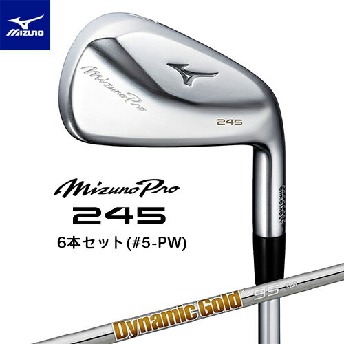 MIZUNO PRO  ߥ  245  6ܥå(#5-PW)  Dynamic Gold 95 륷ե ...