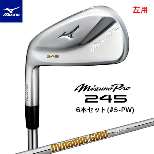 MIZUNO PRO  ߥ  () 245  6ܥå(#5-PW) Dynamic Gold 95 륷ե...