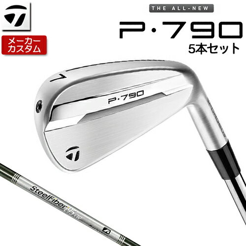 ڥ᡼ ơ顼ᥤ P790  5ܥå(#6-PW)  SteelFiber ե [  ]...