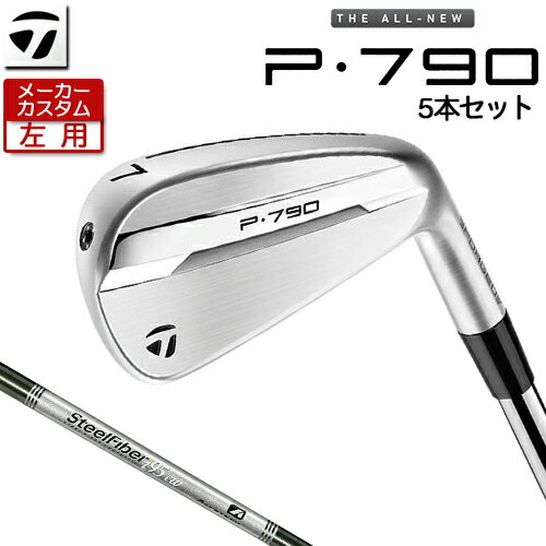 ڥ᡼ () ơ顼ᥤ P790  5ܥå(#6-PW) SteelFiber ե [ ...