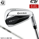 テーラーメイド Qi アイアン 5本セット(#6-PW) 右用 N.S.PRO 820GH スチールシャフト  キューアイ TaylorMade 