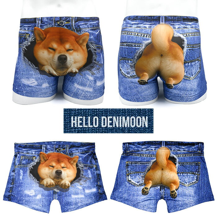 HELLO DENIMOON �� �ɥ��û� �ͤ��ˤ� ���⤷�� �ǥ˥ࡼ�� �ܥ������ѥ�� ��� ����ʤ� ���Ӥ� �� ���� �֥��� ������� �����դ��ʤ�...