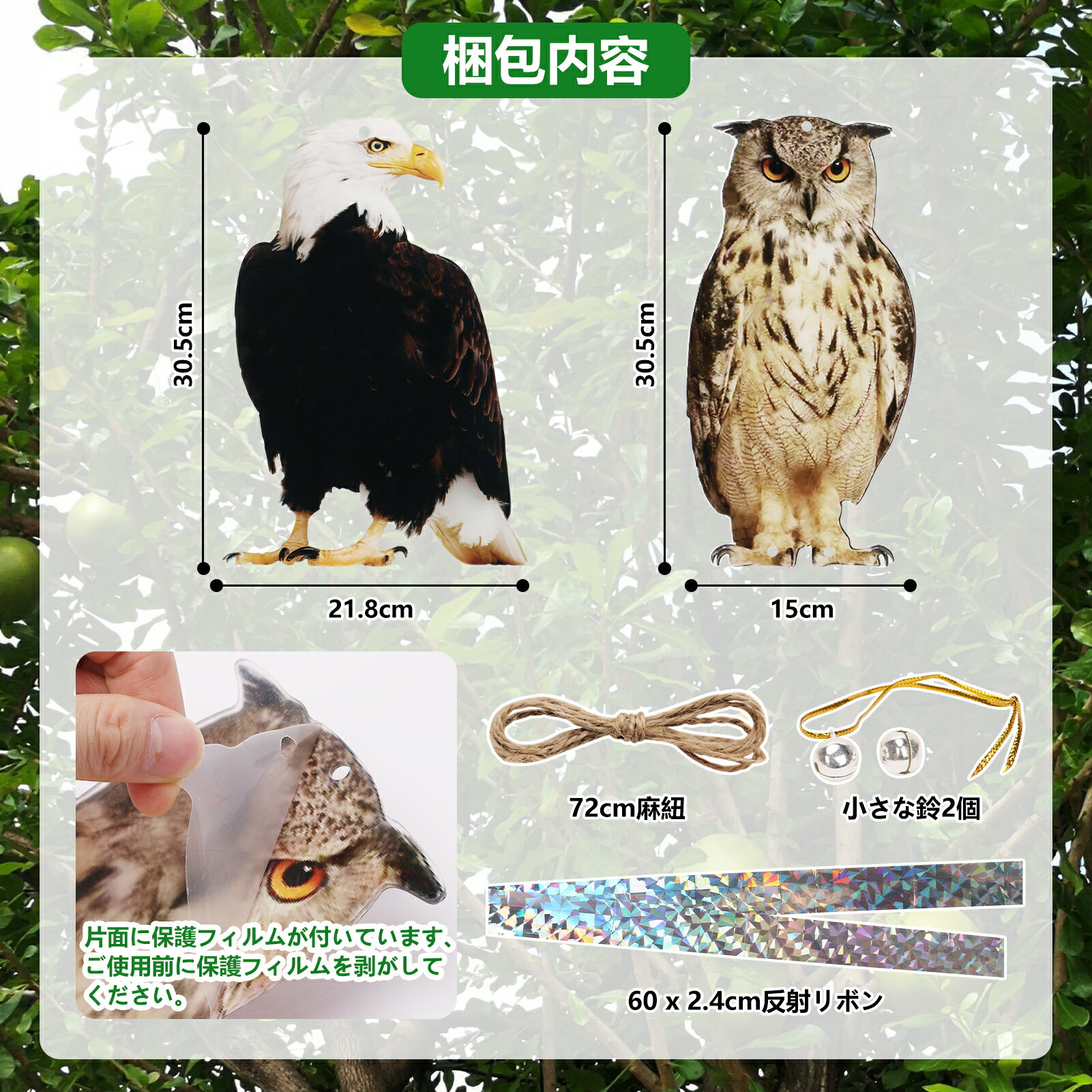 Ļ�򤱥��å� ȷ�褱 �� �ե����� ���饹���� �ϥ��к� �����ᡦ�ĥХ� ǭ�� �ĤФ� ���� �٥��� �̼��� ����ʪ �������