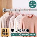 【レビュー特典付】突っ張り棒 伸縮 つっぱり棒 ステンレス 伸縮自由 長さ50-160cm 穴あけ不要 室内 洗濯 クローゼット 洗面所 トイレ お風呂 浴室 玄関 整理 収納 布団干し カーテンロッド 物干し DIY シンプル 壁を傷つけない 賃貸OK