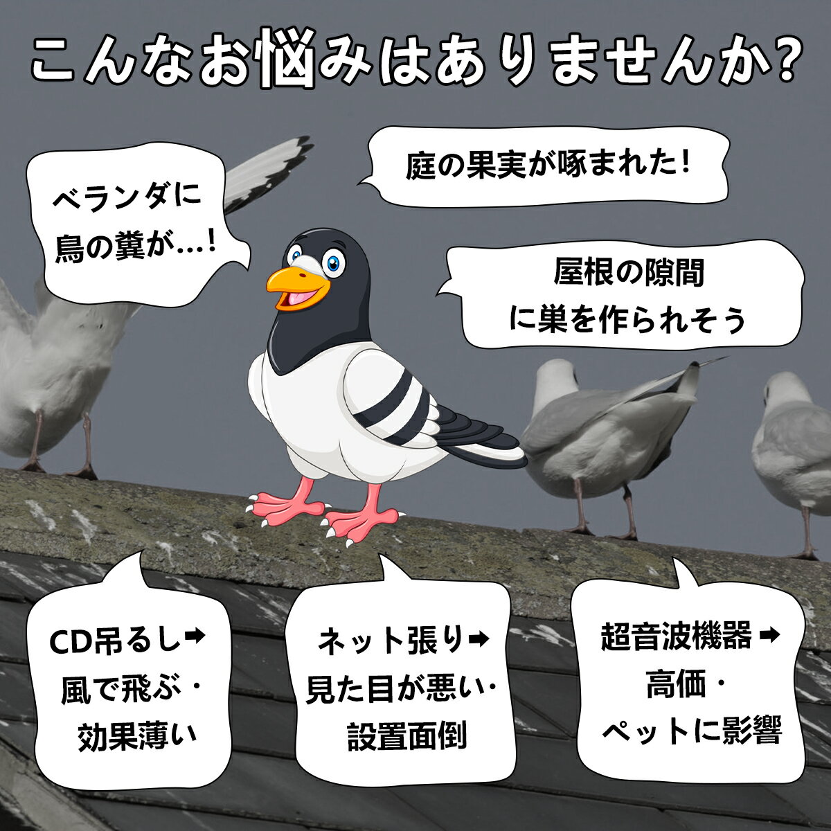 Ļ�褱���å� Ļ�褱�� 10�ܥ��å� Ļ�褱�ơ��� Ļ�� ȷ�褱 �٥��� ���۸� ȿ�� �ߤ겼���� Ļ�褱�к� ȷ�褱 ���饹�褱 ���餹���� ���饹�к� �ĤФ� ���� �̼��� ����ʪ ������� Ļ���к� ��� ��Ļ ���å� ���� ����ʪ �� �����ǥ�