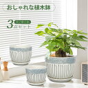 【レビュー特典付】植木鉢 陶器製 北欧デザイン 受け皿付き 底穴排水 多肉植物 観葉植物 おしゃれな植木鉢 3点セット S/M/L