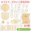 【レビュー特典付】月齢フォト 天然木製 月齢カード ベビーマンスリーカード 記念日フォト 成長記録 撮影用 赤ちゃん 出産祝い 飾り付け 月齢&百日祝いセット