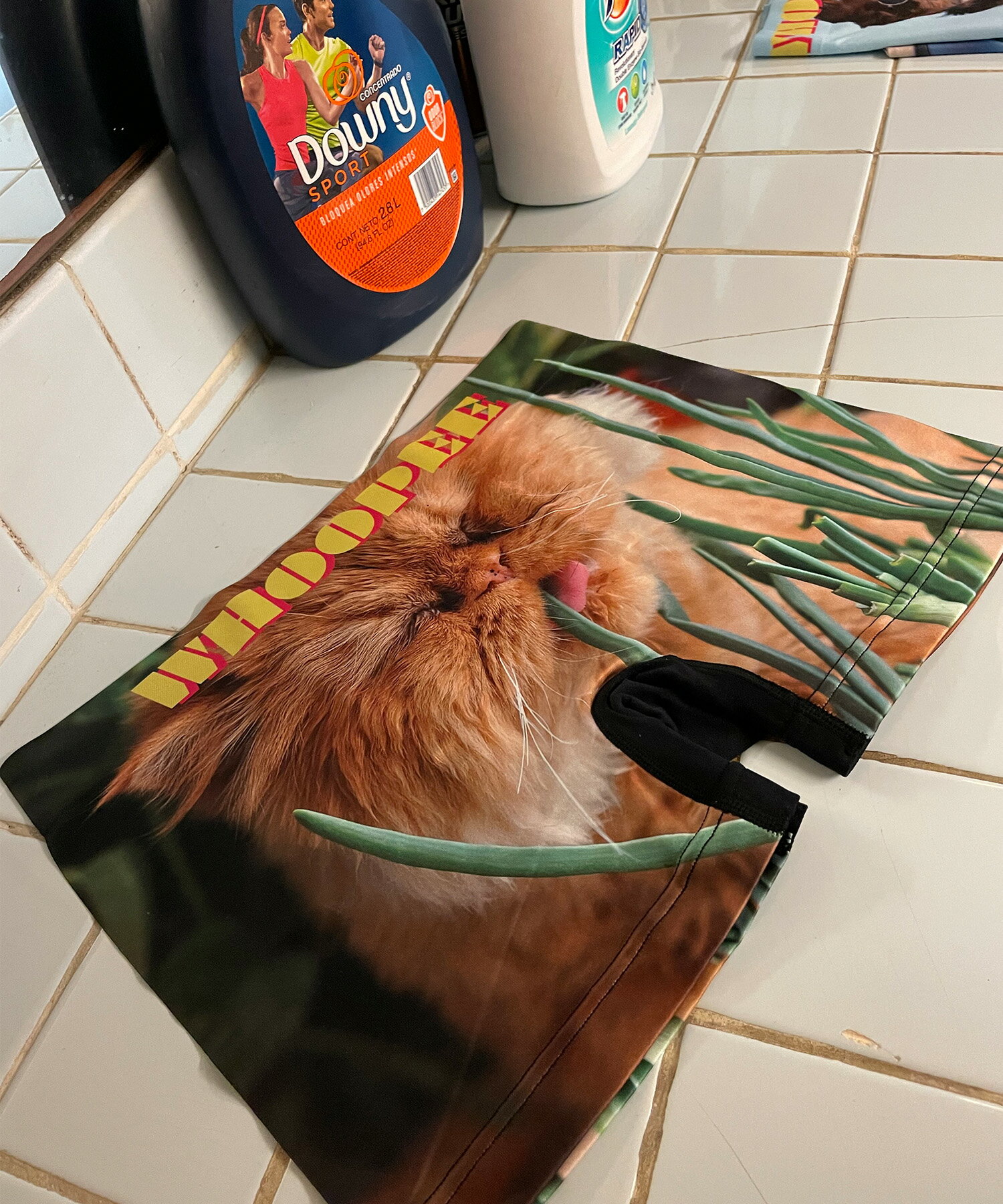 3980߰ʾ̵ۥå 쥹ܥѥ/CAT/ǭ  WHOOPEE ԡ EEATINGGRASS/...