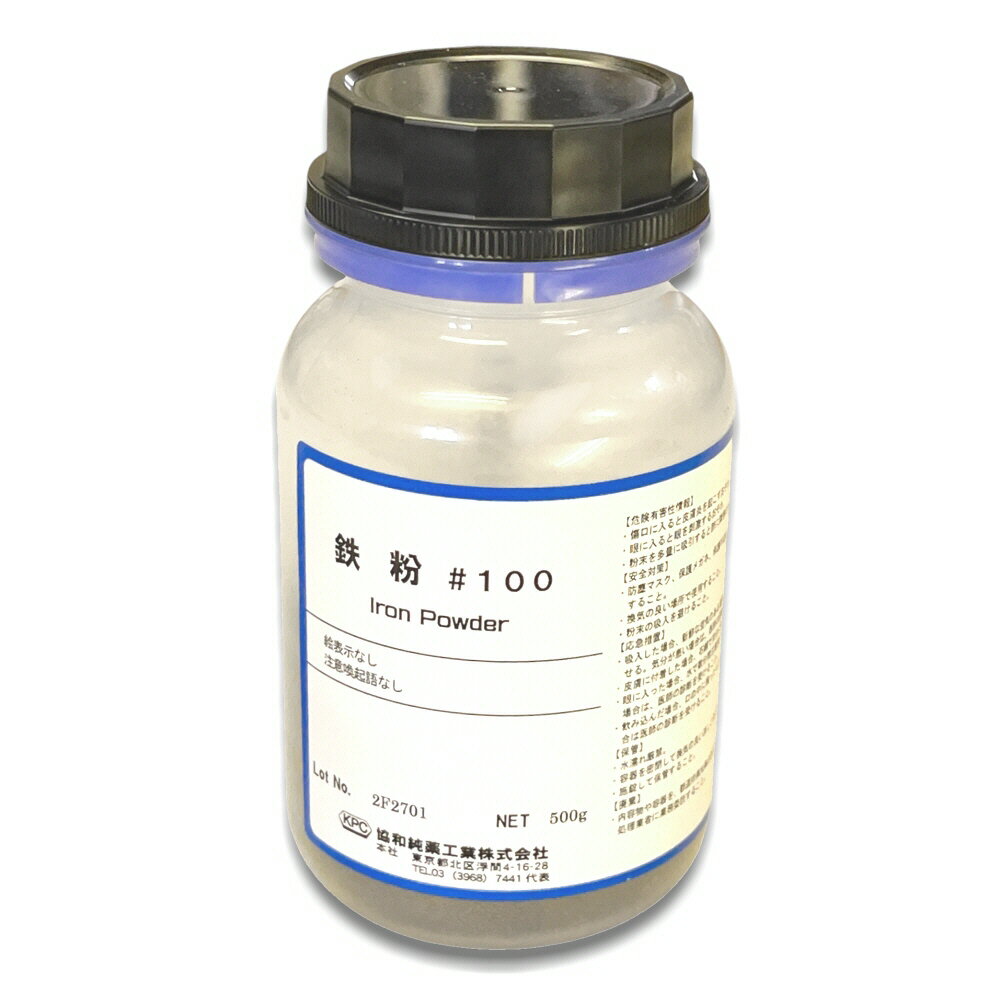 鉄粉#100 500g