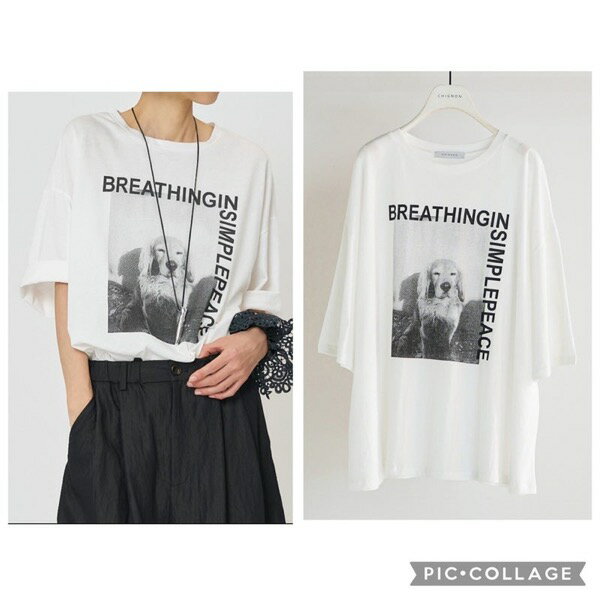 【予約販売】CHIGNON(シニヨン)/アニマルフォト”DOG”Tee(2月中入荷予定)のサムネイル