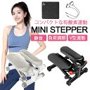 【お買い物限定!エントリーで10%Pバック】ステッパー ミニステッパー...(4)