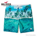 Hollister classic fit strech board shorts ホリスター メンズ クラシックフィット ストレッチ ボードショーツ スイムパンツ 海水パンツ ブループリント【あす楽対応】