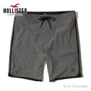 Hollister classic fit strech board shorts ホリスター メンズ クラシックフィット ストレッチ ボードショーツ スイムパンツ 海水パンツ グレー【返品・交換不可商品】