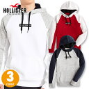 ホリスター メンズ カラーブロック ボックス刺繍ロゴグラフィック ラグランスリーブ フーディー プルオーバーパーカー Hollister Color Block Embroidered Box Logo Graphic Hoodie ネイビー×ヘザーグレー ヘザーグレー×ホワイト ホワイト×レッド