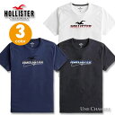 ホリスター メンズ 刺繍ロゴグラフィック半袖Tシャツ Hollister Embroidered Logo Graphic Tee 3カラー：ホワイト ネイビー ブラック