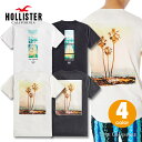 ホリスター メンズ クラシックプリント ロゴグラフィック半袖Tシャツ Hollister Print Logo Graphic Tee 4カラー：ホワイト、ブラック1、オフホワイト、ブラック2