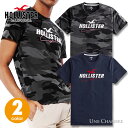 ホリスター メンズ 刺繍 アップリケ プリントロゴグラフィック半袖Tシャツ Hollister Logo Graphic Tee 2カラー：●ブラックカモ、●ネイビー