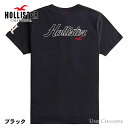 yOUTLET AEgbgzzX^[ Y hJSOtBbNTVc Hollister Logo Graphic Tee ubN MTCYyԕiEsiz