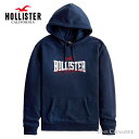 ホリスター メンズ リラックス バーシティー刺繍ロゴグラフィック フーディー プルオーバーパーカー 裏起毛 Hollister Relaxed Varsity Logo Graphic Hoodie ネイビー