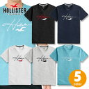 ホリスター メンズ 刺繍 アップリケ プリントロゴグラフィック半袖Tシャツ Hollister Logo Graphic Tee 5カラー：ブラック、ヘザーネイビー、ホワイト、ライトヘザーグレー、ライトヘザーブルー