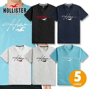 ۥꥹ  ɽ åץꥱ ץȥեåȾµT Hollister Logo Graphic Tee 5顼֥åإͥӡۥ磻ȡ饤ȥإ졼饤ȥإ֥롼