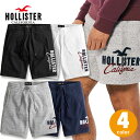 ホリスター メンズ 刺繍ロゴグラフィック フリースショートパンツ 9インチ 裏起毛 Hollister Fleece Shorts ハーフパンツ スウェット ショーツ 4カラー：ブラック ホワイト ヘザーグレー ネイビー