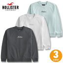 zX^[ Y tbL[vgSOtBbN N[lbNXEFbgVc g[i[ /pCn I[o[TCYtBbg Hollister Logo Graphic Sweatshirt 3J[FtF[hubN CgwU[O[ ~g