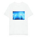 BOILER ROOM (ボイラー ルーム) CLOSE ENCOUNTERS T-SHIRT (WHITE) ボイラールーム Tシャツ カットソー コラボ ブランド メンズ レディース ユニセックス ホワイト