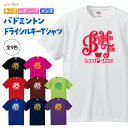バドミントン Tシャツ ドライシルキー ウェア 半袖 練習着 チーム クラブ ユニフォーム 部活 キッズ レディース メンズ 男女兼用 tシャツ 全9色 B80...