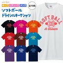 ソフトボール 野球 Tシャツ ドライシルキー ウェア 半袖 練習着 チーム クラブ 部活 キッズ レディース メンズ S21 送料無料 キャッチャー バット ヘ...