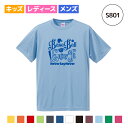 【名入れ】野球 ソフトボール Tシャツ ドライ ウェア 練習着 チーム クラブ 部活 キッズ レディース メンズ S801 送料無料 スパイク キャッチャー バ...
