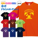 卓球 Tシャツ ドライ ウェア 練習着 チーム クラブ 部活 キッズ レディース メンズ T901  ...