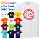 バレーボール Tシャツ ドライ ウェア 練習着 チーム クラブ バレー 部活 キッズ レディース メンズ 男女兼用 ユニセックス 半袖 150 160 S M ...