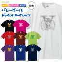 バレーボール Tシャツ ドライ シルキー ウェア 練習着 半袖 チーム クラブ 部活 キッズ レディース メンズ 男女兼用 ユニセックス V901 送料無料 D...