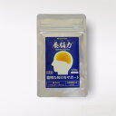養脳力(ようのうりき)30g(0.25g×120粒)
