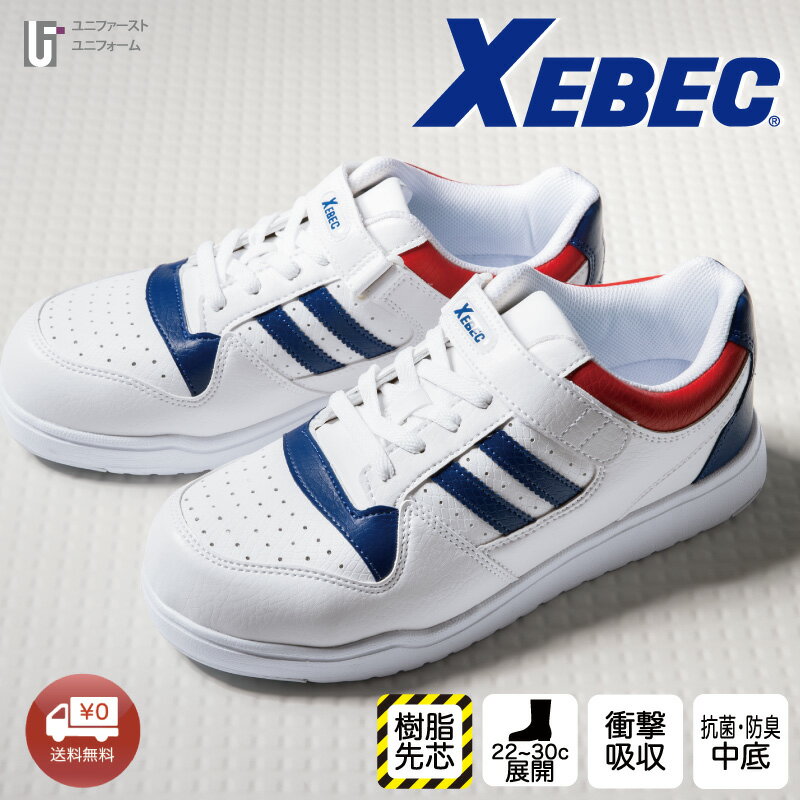 եƥˡ85114ѳXEBEC٥åEVAɴ̼ĳˤڤ˶ƻк襤ڤ