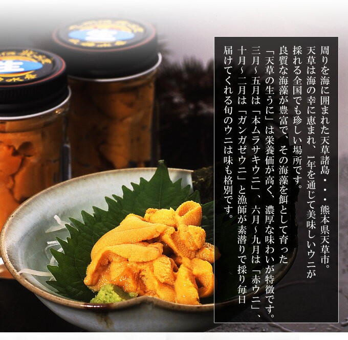 【送料無料】天草殻出し生うに＜ガンガゼうに＞50g×2本組【季節限定】【無塩・無添加】うに　瓶詰め　ギフト　贈り物　贈答　のし対応＜うに用醤油プレゼント中＞　お歳暮　お中元　父の日