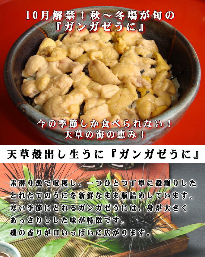 【送料無料】天草殻出し生うに＜ガンガゼうに＞50g×2本組【季節限定】【無塩・無添加】うに　瓶詰め　ギフト　贈り物　贈答　のし対応＜うに用醤油プレゼント中＞　お歳暮　お中元　父の日