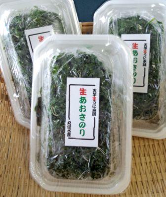 ＜10個以上送料無料＞天草産　生あおさのり（青さのり）200g【国産・九州・熊本】あおさ　青さ　アオサ　海藻 3