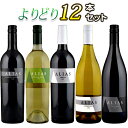 【送料無料】カリフォルニアワイン飲み比べよりどり12本セット 赤白 エイリアス/アルコール・バイ・ボリューム[Alias]カベルネ・ソーヴィニョン/ピノ・ノワール/メルロー/シャルドネ/ソーヴィニョン・ブラン アメリカ 750ml※クール便一部地域は別途送料