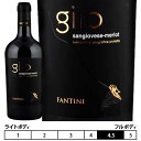 ファンティーニ ジロ サンジョヴェーゼ メルロー 2021 ファルネーゼ 赤 750ml Fantini Giro Sangiovese Merlot Farnese イタリア プーリア 赤ワイン