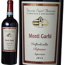 eBEKr @|`FbEpb\EXyI[[2020]ek[^ETAgjI 750ml C^A Flg @|`Fb Tenuta Sant'Antonio[Monti Garbi Valpolicella Ripasso Superiore] ԃC