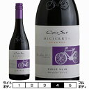 コノスル　ピノ・ノワール　ビシクレタ　レゼルバ[2020]ヴィーニャ・コノスル 赤 750ml Vina Cono Sur[Cono Sur Pinot Noir Bicicleta Reserva] チリ 赤ワイン