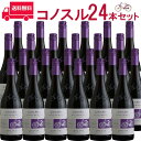 【お得な24本セット】コノスル　ピノ・ノワール　ビシクレタ　レゼルバ/ヴィーニャ・コノスル 赤 750ml Vina Cono Sur[Cono Sur Pinot Noir Bicicleta Reserva] チリ 赤ワイン 業務量 飲食店 プロ向け 送料無料※北海道・九州は別途330円送料が加算されます